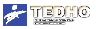 Tedho Logo